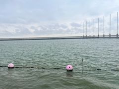 -碧海金沙