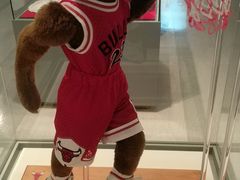 -济州岛泰迪熊博物馆