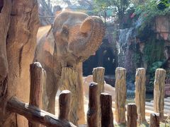 -长鹿旅游休博园