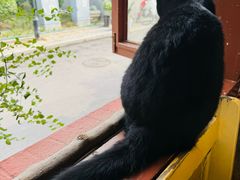 -萤火虫咖啡(后海店)
