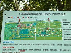 -上海海湾国家森林公园