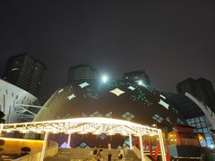 -重庆国际马戏城