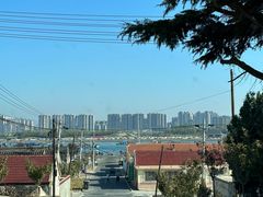 -养马岛旅游度假区