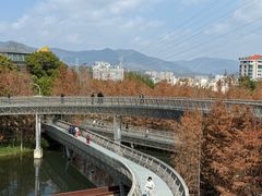 -福道