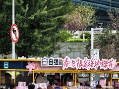 -武汉大学-樱园