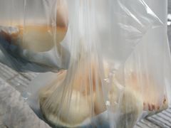 -老槐树煎包