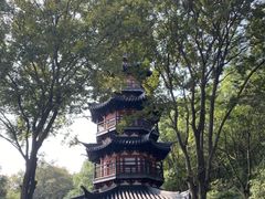 -上海佘山国家森林公园西佘山园