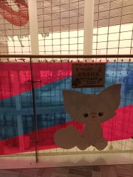 -欧酷世界动力星球(王府井奥莱UP TOWN店)