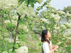 -羊山湖公园