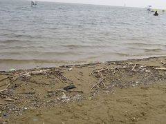 -碧海金沙