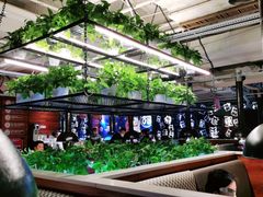 -猫爪爪原切自助烤肉(观音桥阳光世纪店)