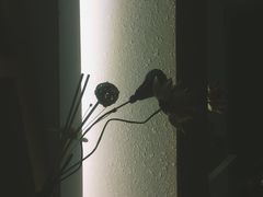 -锦初·禅意4K影院式足道·新中式SPA(茂业天地店)