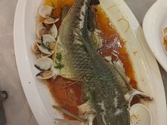 清蒸皖鱼-鹭园酒家·四十年老字号