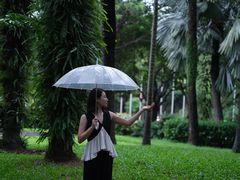 -深圳国际园林花卉博览园