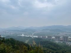 -风云岭森林公园