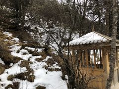 -黄龙山原始森林景区