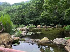 -广州市石门国家森林公园