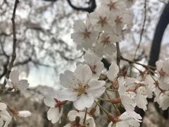-京都御所