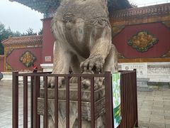 -北陵公园