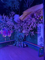 -伊莎贝拉婚礼庄园(顾村店)