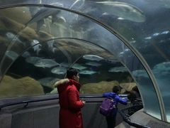 -大连圣亚海洋世界