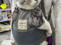 -久久宠物(河东万达店)