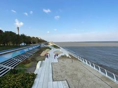 -上海吴淞炮台湾国家湿地公园