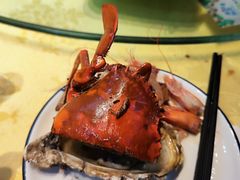莲花公园煎蟹-莲花公园煎蟹(总店)
