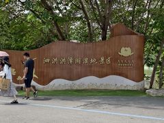 -泗洪洪泽湖湿地景区