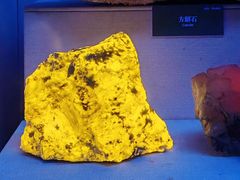 -湖南省地质博物馆