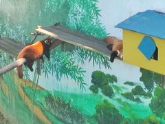 -西霞口神雕山野生动物世界