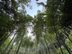 -夏霖九天银瀑风景区