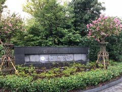 -上海崇明金茂凯悦酒店