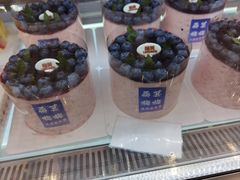 -龙兴·动物奶油生日蛋糕(龙北店)
