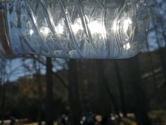 -北京鹫峰国家森林公园