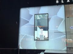 -BLACKSWAN黑天鹅(环球店)