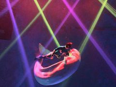 -芜湖新华联大白鲸海洋公园