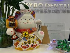 -泰康拜博口腔(世博园乐尔店)