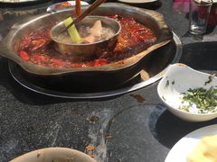 -秀丽东方