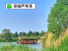 -白洋淀景区