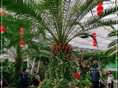 -北京植物园-展览温室
