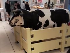 -红星前进面包牛奶公司(君太店)