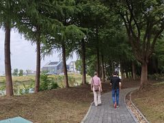 -无锡梁鸿湿地丽笙度假酒店·流觞西餐厅