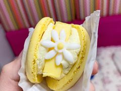 花花马卡龙桂花半熟芝士味-好利来(十里河店)