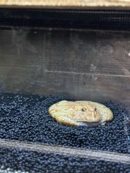 -Zoolung Zoolung动物主题公园(海信广场店)