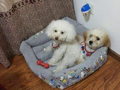 -沐沐家宠物(成寿寺店)