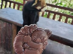 -普洱太阳河森林公园