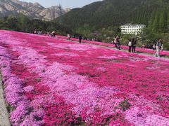 -昆嵛山石门里景区