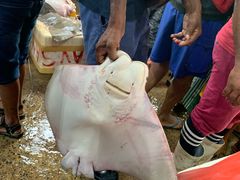 -尼甘布海鲜市场