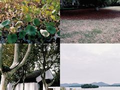 -楼外楼(西湖景区孤山路店)